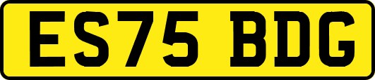 ES75BDG