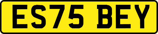 ES75BEY