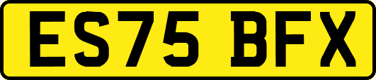 ES75BFX