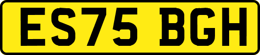 ES75BGH