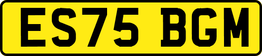 ES75BGM