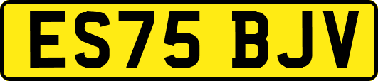 ES75BJV