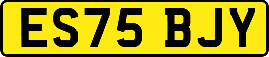 ES75BJY