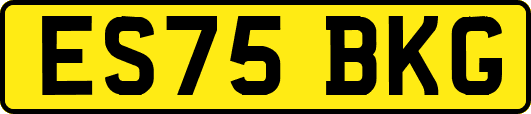 ES75BKG