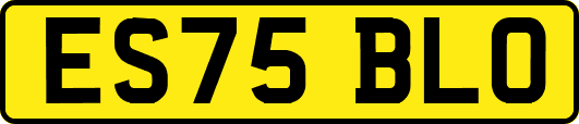 ES75BLO