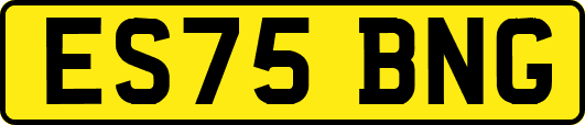 ES75BNG