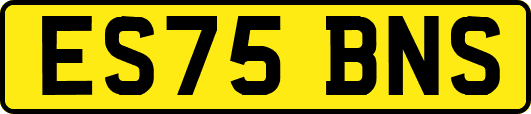 ES75BNS