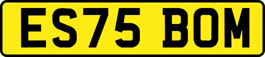 ES75BOM