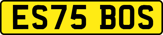 ES75BOS