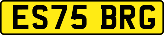 ES75BRG