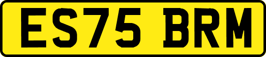 ES75BRM