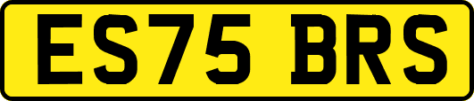 ES75BRS