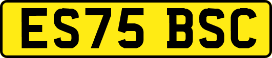ES75BSC