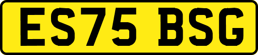 ES75BSG