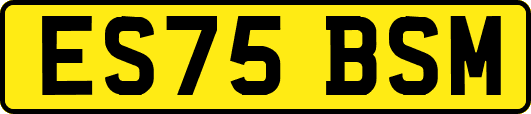 ES75BSM