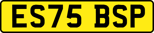 ES75BSP