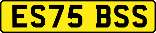 ES75BSS