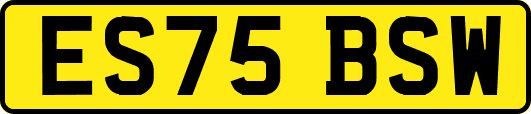 ES75BSW