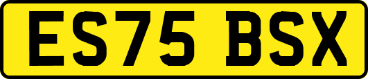 ES75BSX