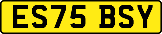 ES75BSY