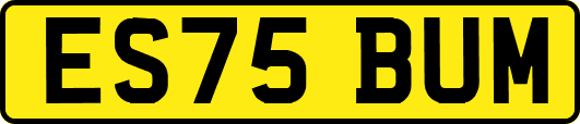 ES75BUM