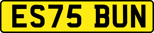 ES75BUN