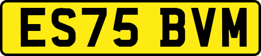 ES75BVM