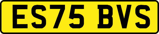 ES75BVS