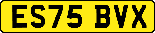 ES75BVX