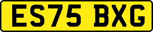 ES75BXG