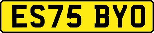 ES75BYO