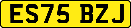 ES75BZJ