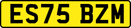 ES75BZM