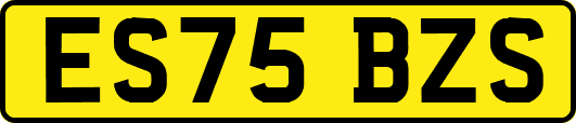 ES75BZS
