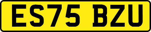 ES75BZU
