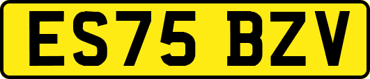 ES75BZV