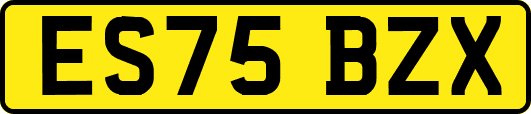 ES75BZX