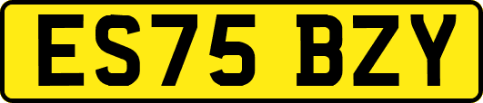 ES75BZY