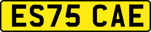ES75CAE