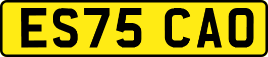 ES75CAO