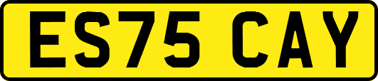 ES75CAY
