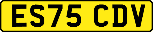 ES75CDV