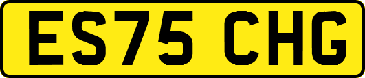 ES75CHG