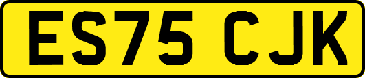 ES75CJK