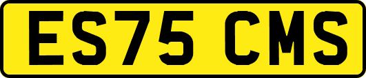 ES75CMS