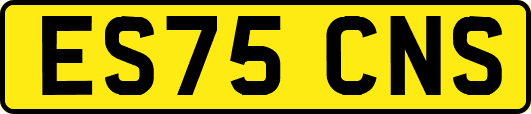 ES75CNS