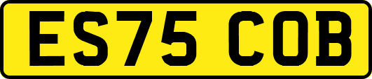 ES75COB