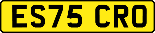 ES75CRO