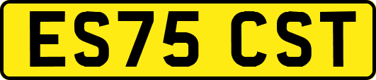 ES75CST