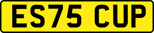 ES75CUP